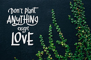 Mellynda, a Script Font by Arterfak Project (Thumbnail 2 of 8)
