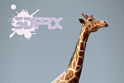 HD_GIRAFFE, an Animal 3D Model by 3DFRX (Thumbnail 1 of 5)