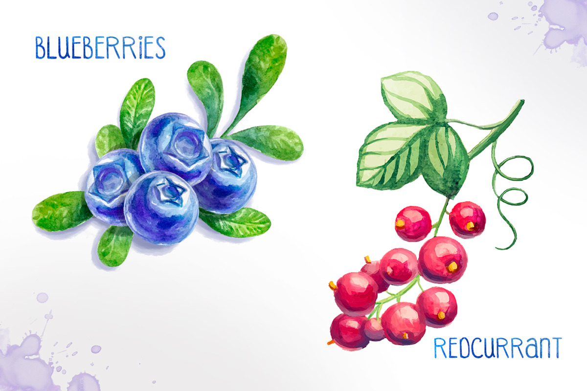 Watercolor berries, an Illustration by AlexGreenArt (Photo 2 of 4)