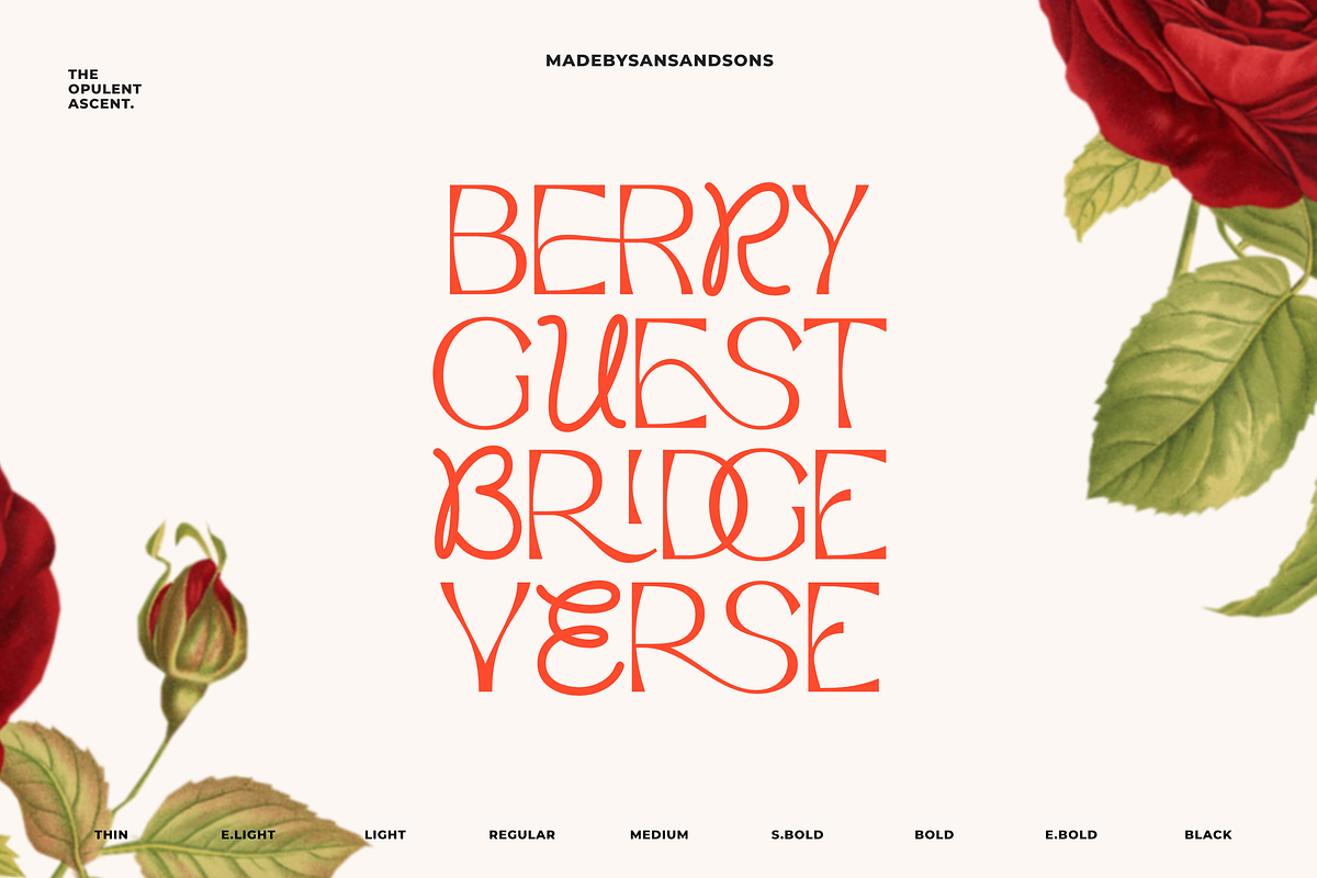 Opulent Ascend - 9 Font Family, a Sans Serif Font by Sans & Sons (Photo 3 of 10)