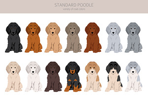 Standard Poodle Clipart