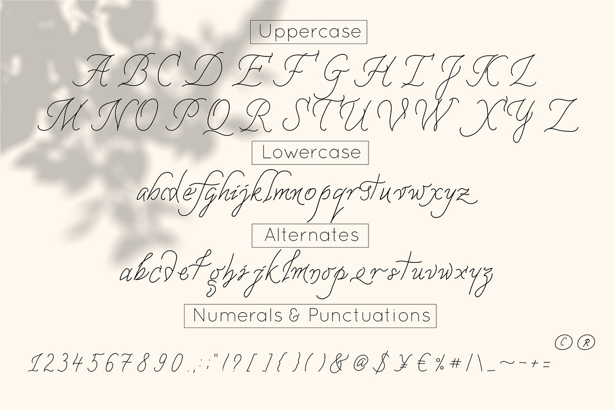 Playful Font Bundle | Sale, a Script Font by Anna Zakharchenko (Photo 49 of 59)