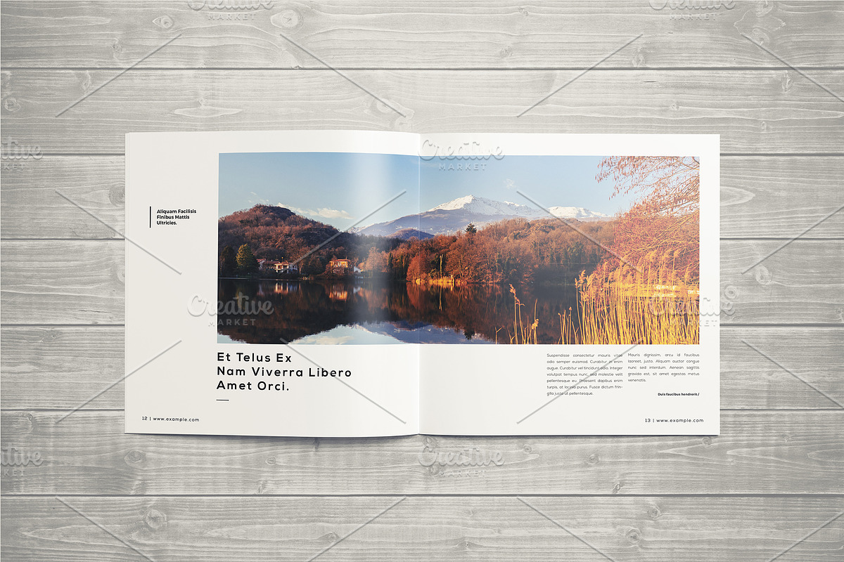 Photography Portfolio Template, a Brochure Template by ShapShapy (Photo 11 of 21)