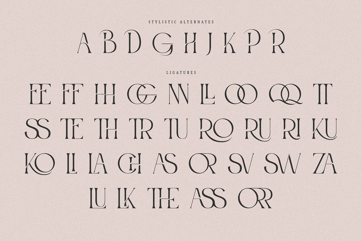 Roashe-Serif Font Family (Updated), a Serif Font by Nathatype (Photo 8 of 10)