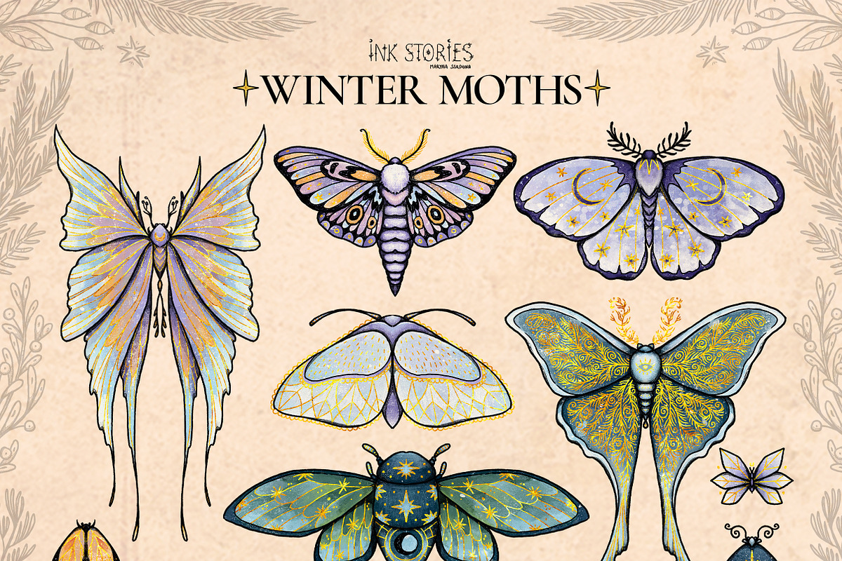 Winter Moths & Evergreen Botanicals, a Seasonal Illustration by Ink Stories (Photo 2 of 15)