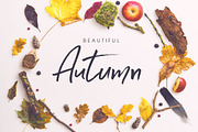 Serial Catch Font, a Script Font by Creativeqube Design (Thumbnail 3 of 22)