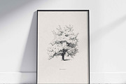 Vintage Tree Vector Bundle Vol. 3, an Object Illustration by Seaquint (Thumbnail 4 of 5)