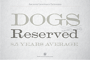 Archive Lightface Extended, a Font by Archive Type Fonts (Thumbnail 2 of 3)