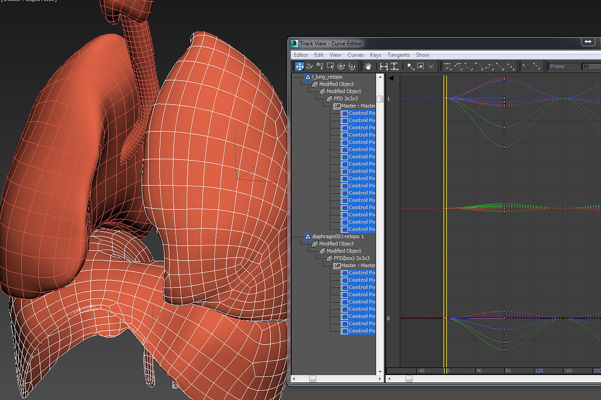 Lungs animated, a Characters & Person 3D Model by konstantin.ermolaev (Photo 13 of 13)