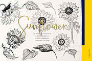 Sunflowers. Sketch Outline art, an Illustration by LABFcreations (Thumbnail 2 of 6)