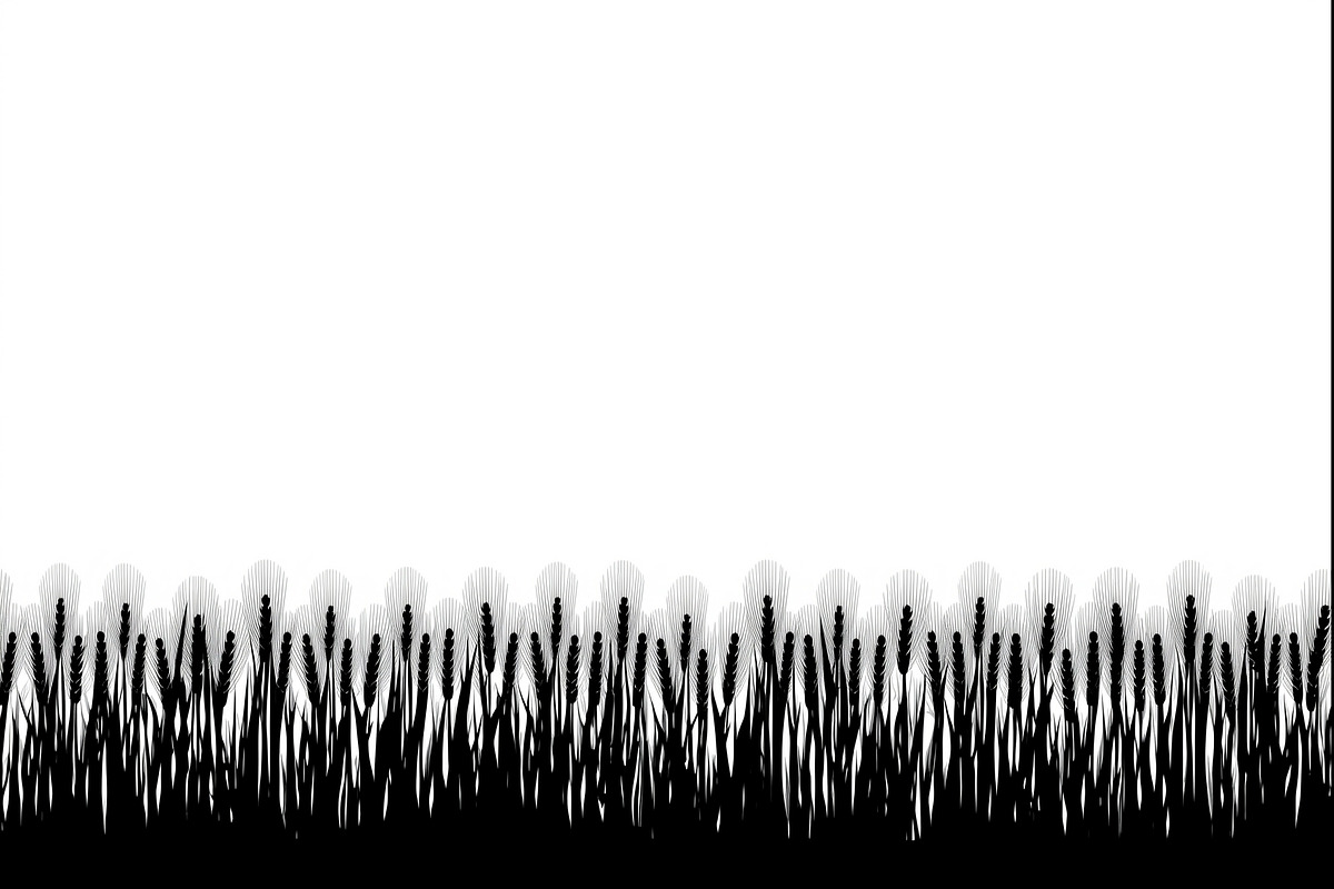 Harvest Wheat Border Designs, an Illustration by Creativeshirt (Photo 2 of 9)