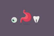 14 Human body parts, an Icon by Beatriz Gascón (Thumbnail 4 of 4)