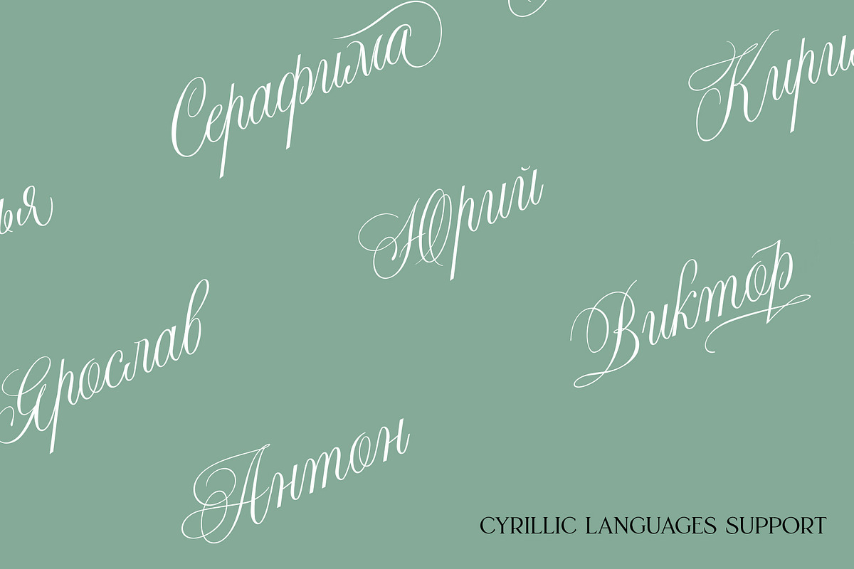 Night Train Script — Elegant Font, a Script Font by vatesdesign (Photo 5 of 10)