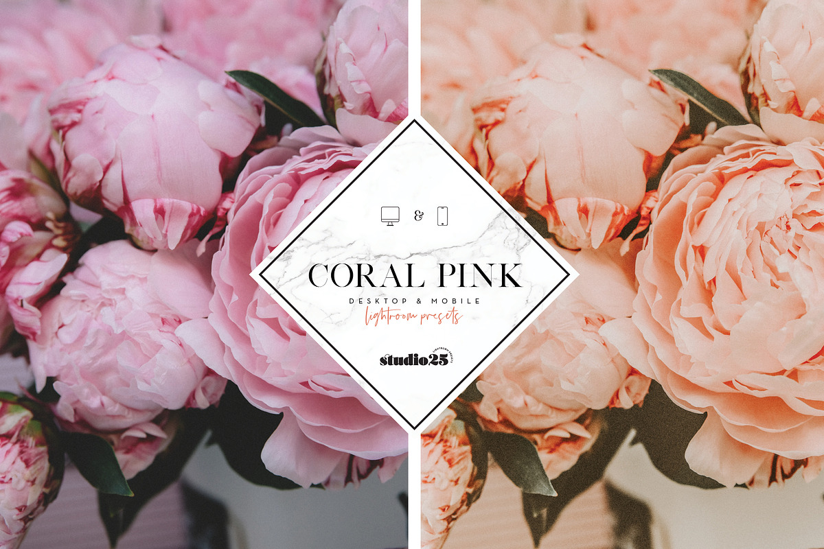Coral pink lightroom preset, a Plug-in Add-On by studio25 (Photo 4 of 7)