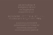 Felix - Condensed Display Serif Font, a Serif Font by Studio Aurora (Thumbnail 10 of 10)