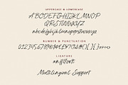 Sartyan Canish Aesthetic Dry Brush, a Script Font by Maulana Creative (Thumbnail 7 of 7)