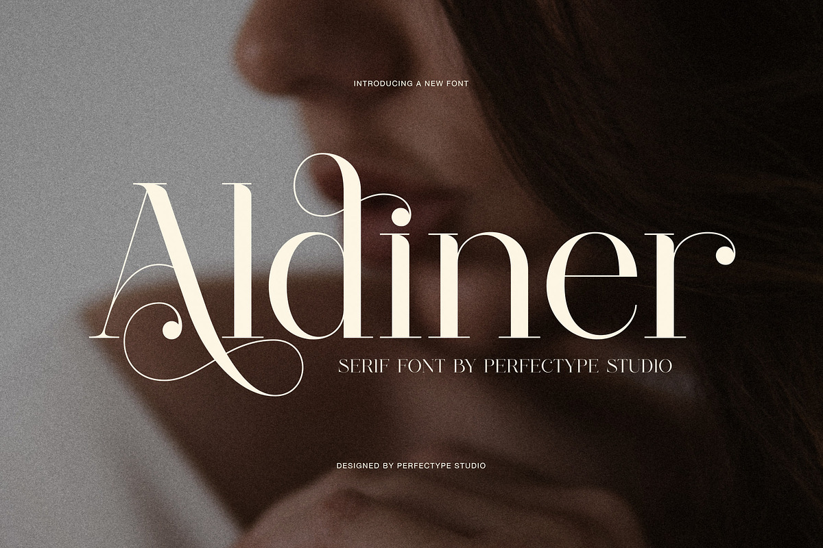 Aldiner Elegant Serif Font, a Serif Font by Perfectype (Photo 1 of 8)