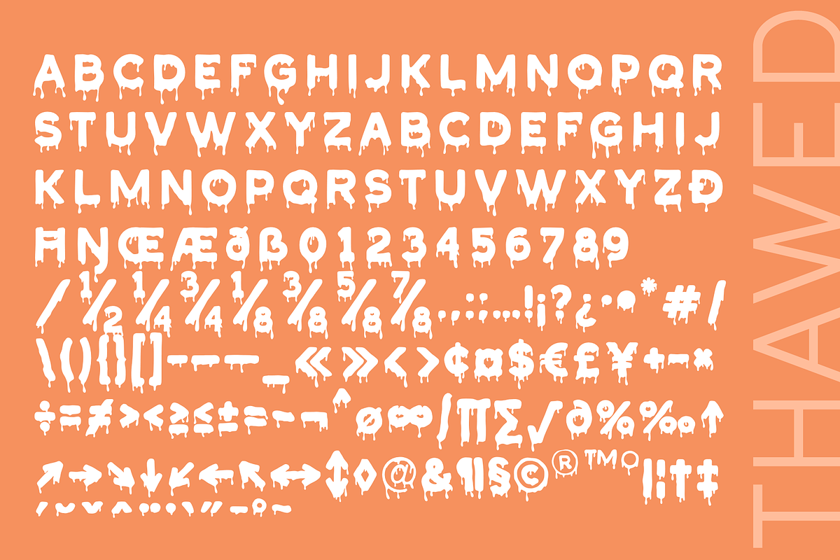 Thawed, a Sans Serif Font by Larin Type Co. (Photo 10 of 10)