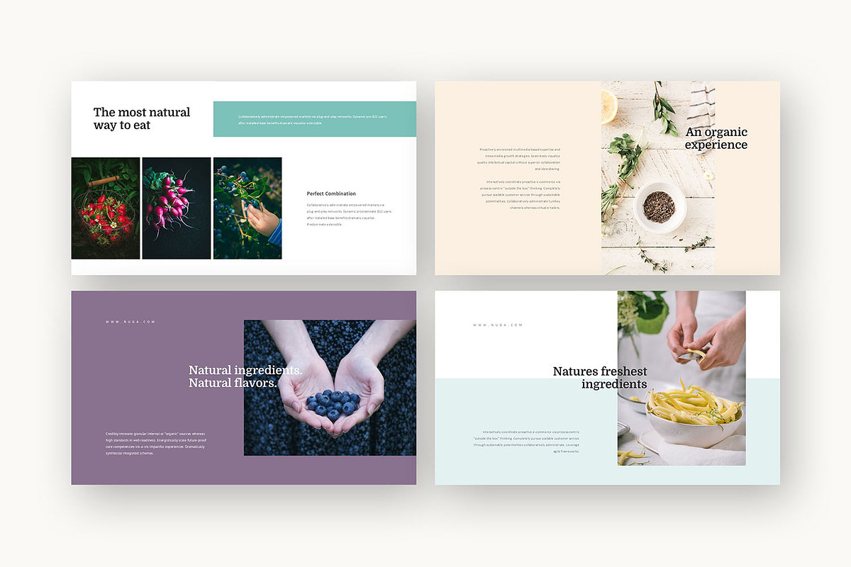 Nuga : Natural Food Google Slides, a Presentation Template by Punkl Camp (Photo 8 of 15)