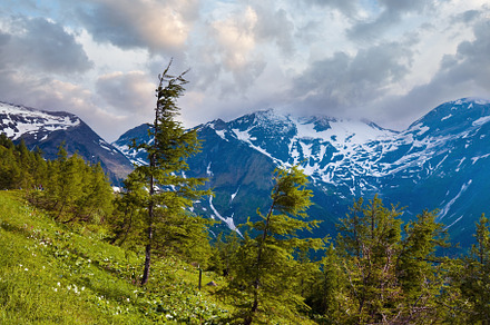 Alps summer view, a Nature Photo by YuriyB
