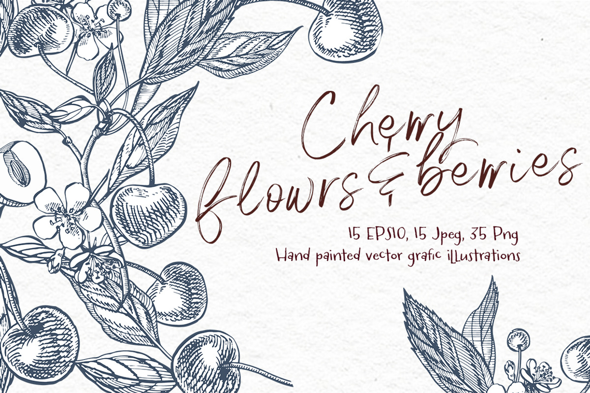 Cherry Graphic & Watercolor clipart, a Food Illustration by Ann Astro (Photo 3 of 5)