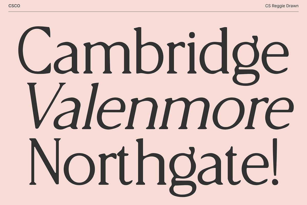 CS Reggie Drawn, a Serif Font by Craft Supply Co. (Photo 3 of 8)