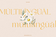 Quinek Elegant Serif, a Serif Font by Brandear Design (Thumbnail 16 of 16)