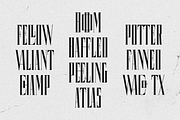 Coppola, a Serif Font by Chad Palmer Designs (Thumbnail 6 of 9)