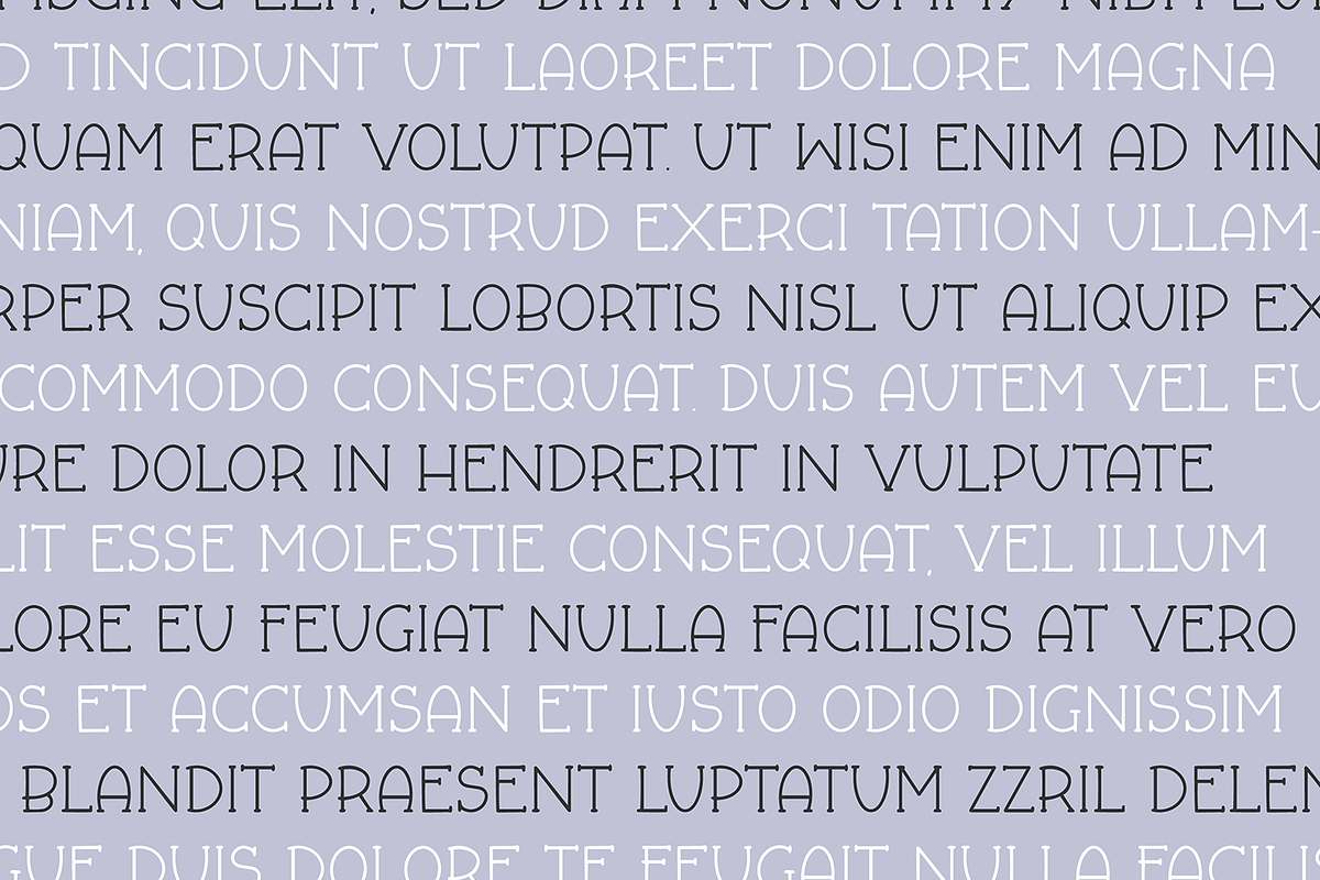 FALL & FLAIR Farmhouse Serif Font, a Serif Font by Blush Font Co. (Photo 3 of 6)