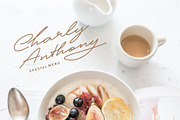 Patton Delicate Signature Typeface, a Script Font by takoliko (Thumbnail 6 of 11)
