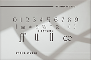 Quiffed Flicker, a Serif Font by And Studio (Thumbnail 16 of 16)