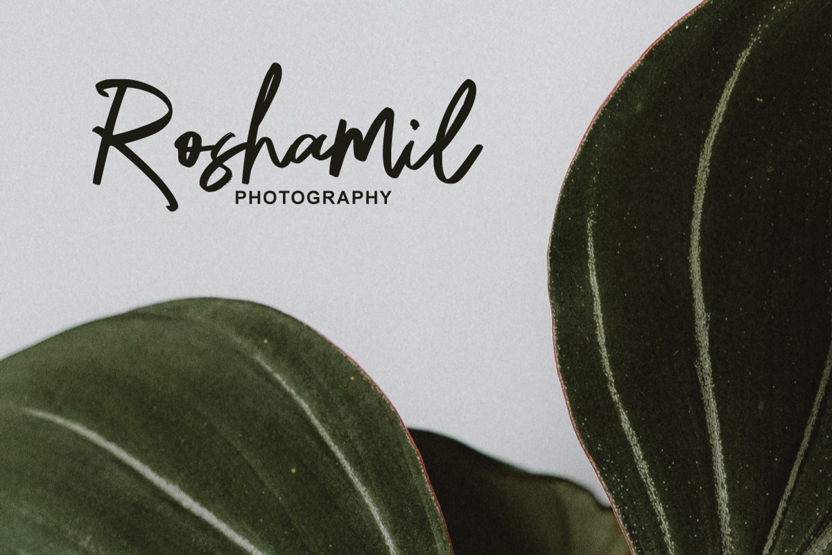 Hafine - Casual Brush, a Handwritten Font by tebaltipislab (Photo 3 of 10)