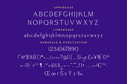 Argent Paradise Serif Oldstyle, a Serif Font by Letterena Studios (Thumbnail 13 of 15)