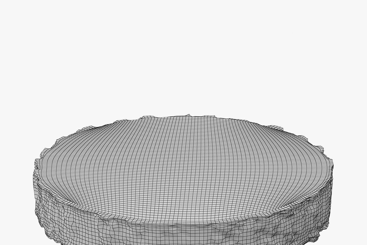 Wood Log Slice, an Environmental 3D Model by 3D_PikNik (Photo 12 of 15)