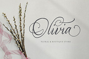 Adolle Bright - Modern Calligraphy, a Script Font by Dirtytemp Studio (Thumbnail 3 of 11)
