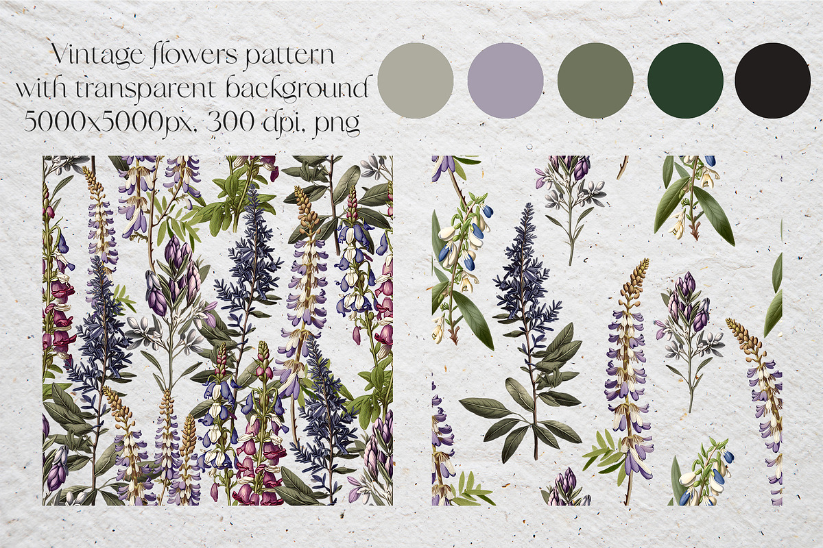 Lupine. Vintage botanical atlas, a Pattern Graphic by Antikva17 (Photo 6 of 12)