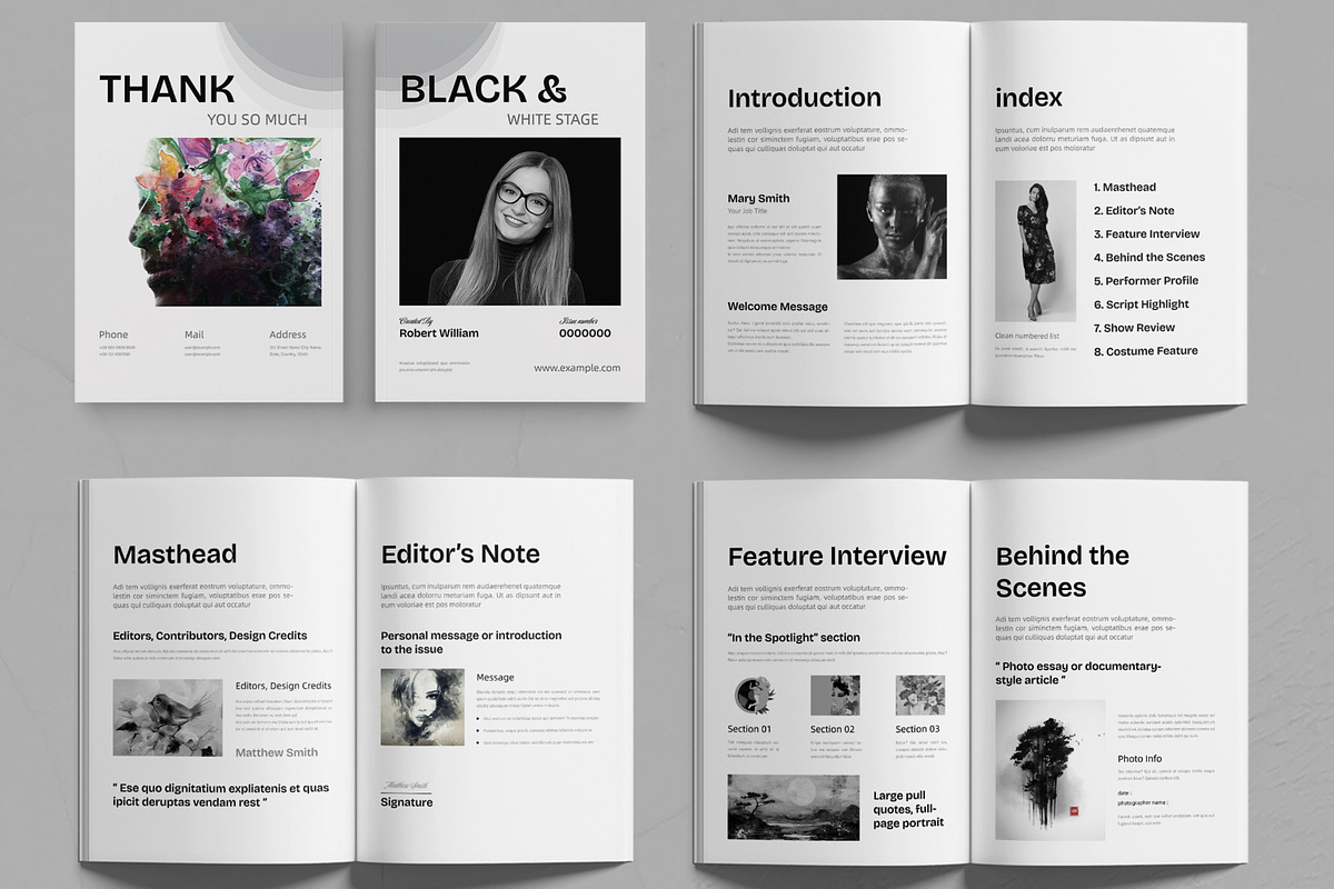 Artistic Black and White Show Scene preview 2
