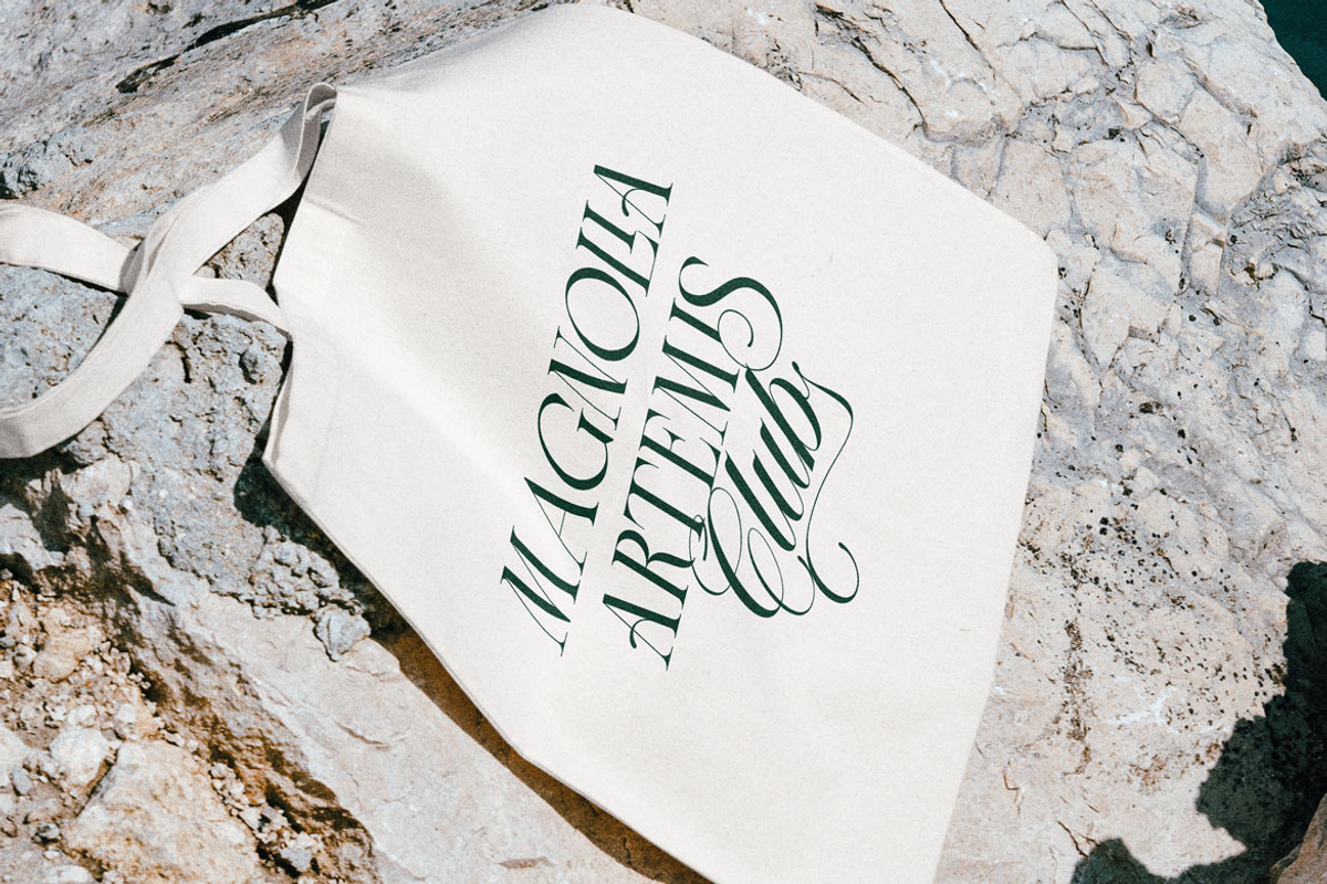 LT The Heistha Editorial - Font Duo, a Script Font by Luminotype (Photo 5 of 17)