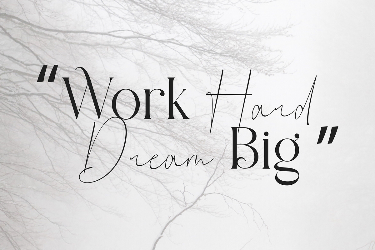 Claster Oleander, a Font by ToniStudio (Photo 10 of 11)