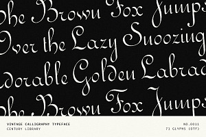 Elegant Vintage Calligraphy Font