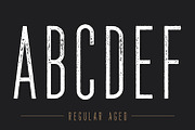 The National | Condensed Type Family, a Sans Serif Font by Hustle Supply Co. (Thumbnail 14 of 15)