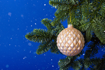 Christmas ball hanging, a Holiday Photo by Pandateam