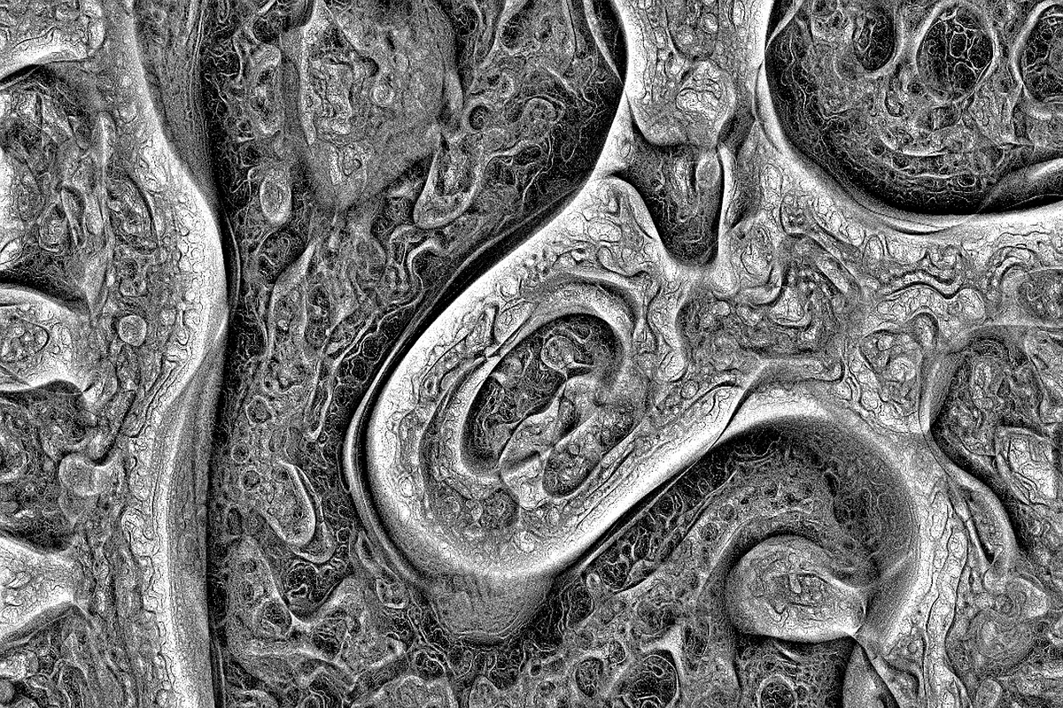 Cytoplasm, a Texture Graphic by Jennifer Lauren Creative (Photo 4 of 9)