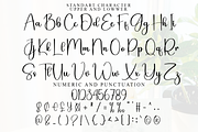 Starboy, a Handwritten Font by FreshTypeINK (Thumbnail 2 of 8)