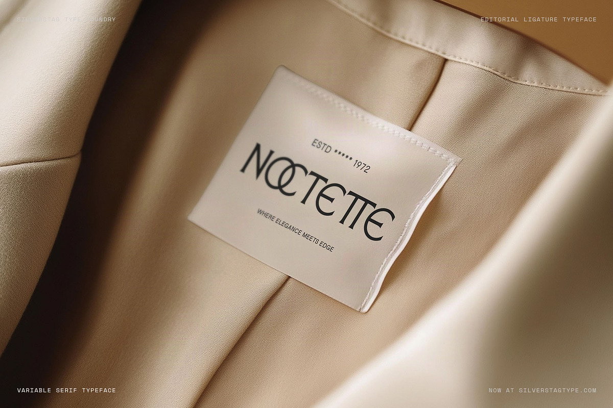 Arcilla — Variable Editorial Serif, a Serif Font by SilverStag Type Foundry (Photo 18 of 31)