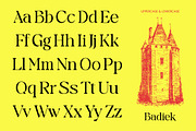 Badiek Serif Display, a Serif Font by timelesstype.co (Thumbnail 3 of 15)