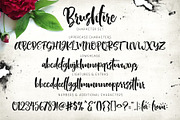 Brushfire Typeface + Extras, a Handwritten Font by Callie Rian & Co. (Thumbnail 5 of 12)