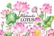 Watercolor lotus flower clipart, an Illustration by OlDm_Shop (Thumbnail 1 of 10)