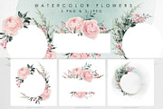 WATERCOLOR BUNDLE Peonies & Roses, an Illustration by ollalya (Thumbnail 44 of 101)