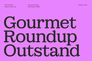 Sailer: Display Serif Font Family, a Serif Font by Eko Bimantara (Thumbnail 2 of 14)